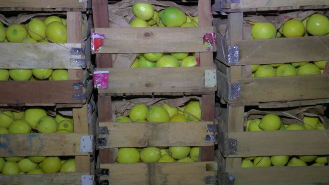 Kapadokya, Akdeniz Bölgesinde Yetiştirilen Limona ’Yataklık’ Ediyor