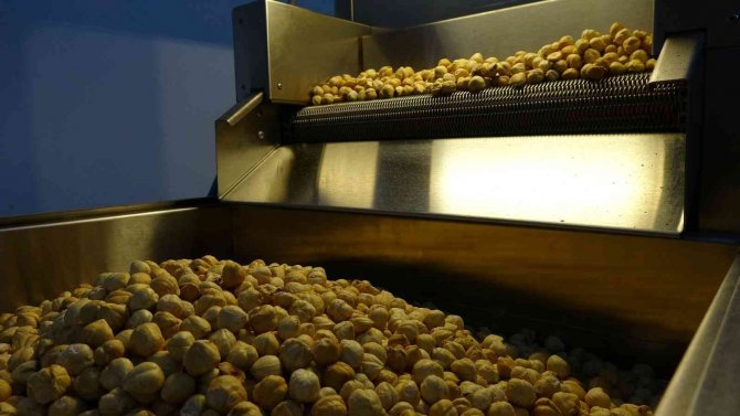 300 Bin Liraya Kurduğu Tesiste Talebe Yetişemiyor