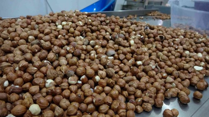 300 Bin Liraya Kurduğu Tesiste Talebe Yetişemiyor