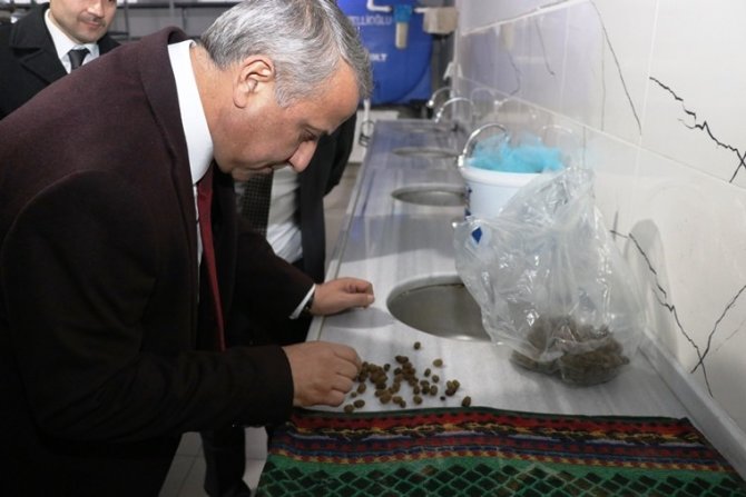 Samsun’da Tıbbi Sülük Yetiştiriciliğine Rağbet Artıyor