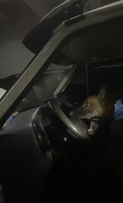 Minibüsün Direksiyonuna Uyuşturucu Gizlemiş