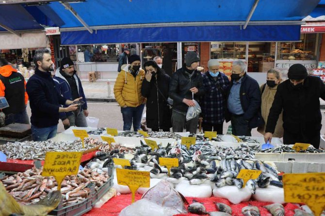 Karadeniz’de En Ucuz Balığın Kilosu 10, En Pahalı Balığın Kilosu 250 Tl