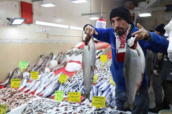Karadeniz’de En Ucuz Balığın Kilosu 10, En Pahalı Balığın Kilosu 250 Tl