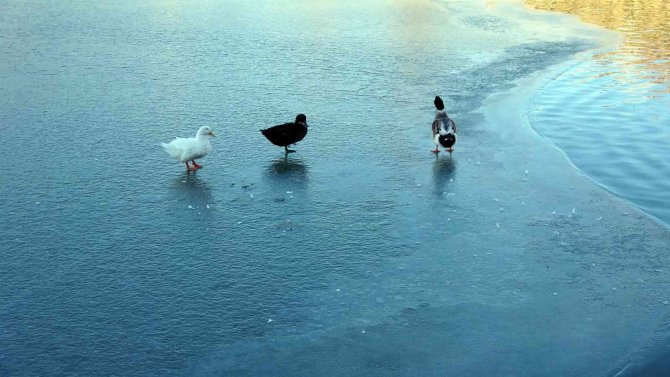 Yozgat’ta Donan Gölet Kartpostallık Görüntüler Oluşturdu