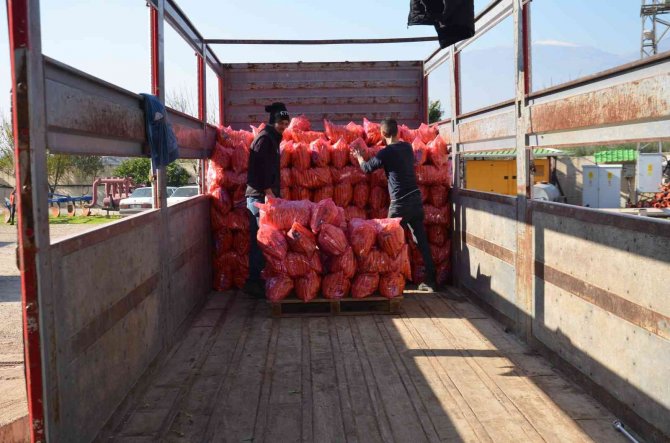 Havucun Tarladan Sofraya Zahmetli Yolculuğu