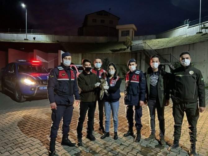 Yaralı Şahine Jandarma Şefkati