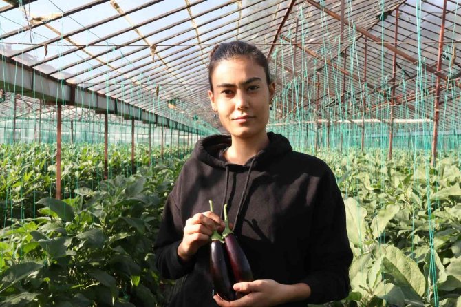 Halde 12, Pazarda 15 Tl Olan Patlıcan, Tarım Kredi Kooperatifi Marketinde 19,90 Tl