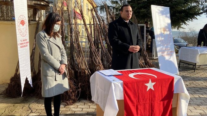Bilecik’te 5 Bin Adet Sertifikalı Ceviz Fidanı Dağıtıldı