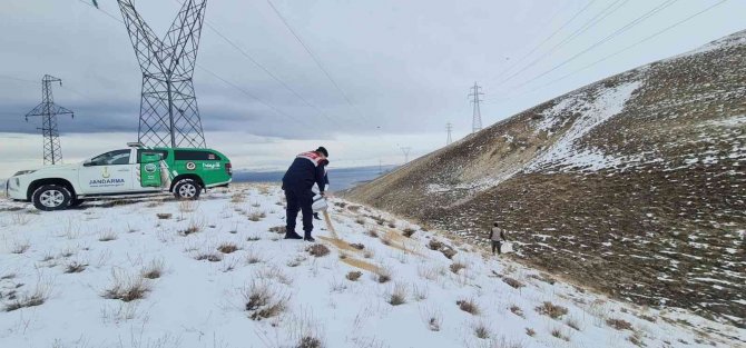 Bitlis’te Sokak Ve Yaban Hayvanlar İçin Doğaya Yem Bırakıldı
