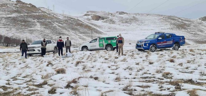Bitlis’te Sokak Ve Yaban Hayvanlar İçin Doğaya Yem Bırakıldı