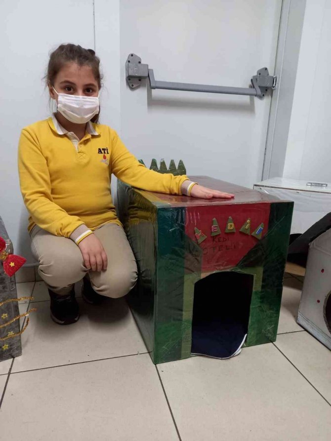 Minikler Kedileri "Ev"lendirdi