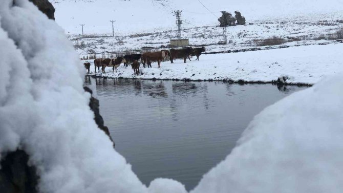 Kars’ta Beyaz İle Mavi Büyülüyor