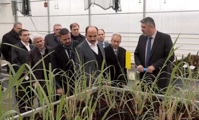 Başkan Altay: "Jeotermal Ar-ge Serasında Alternatif Ürün Yetiştiriyoruz"