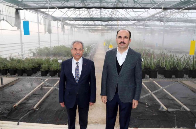 Başkan Altay: "Jeotermal Ar-ge Serasında Alternatif Ürün Yetiştiriyoruz"