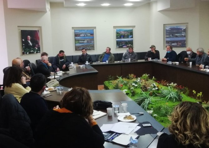 Arı Ölümlerine Çözüm Arayışı