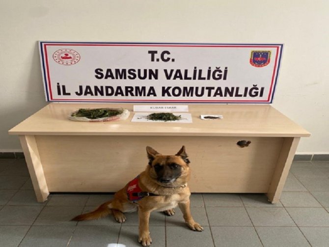 Samsun’da Zehir Tacirleri İle Mücadele: Çok Sayıda Narkotik Madde Ele Geçirildi