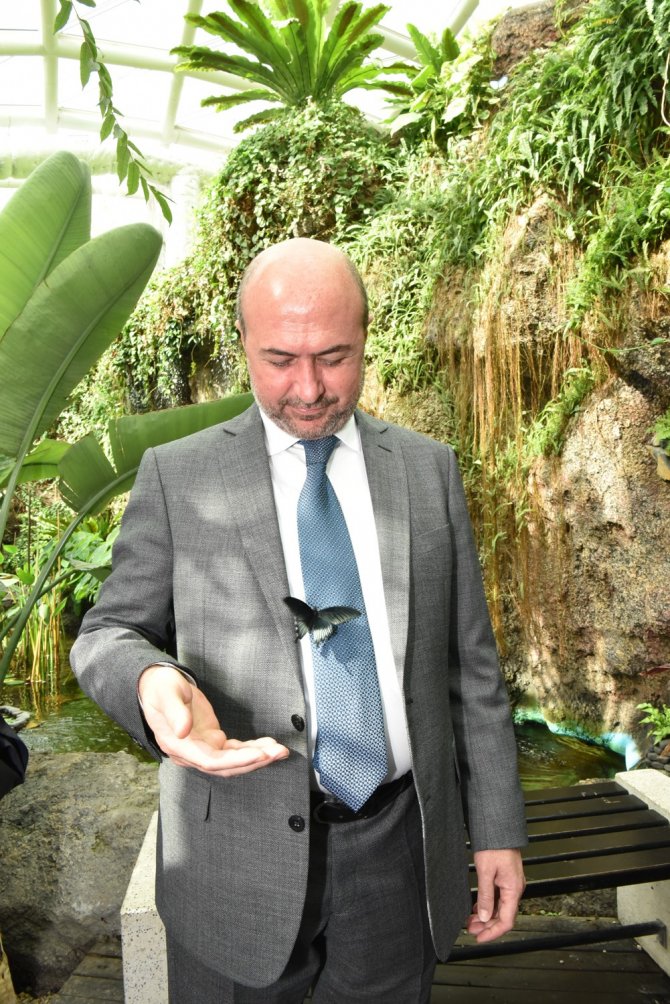 Tropikal Kelebek Bahçesi 375 Bin Ziyaretçi Ağırladı