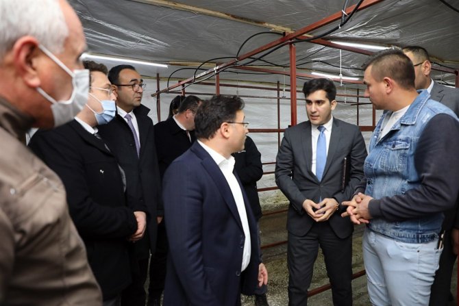 Afyonkarahisar’ın O İlçesi Mantar Üretim Merkezi Olacak