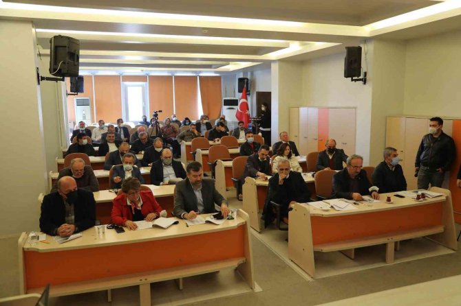 Atakum’da Üreticiye Ceviz Fidanı Hibesi