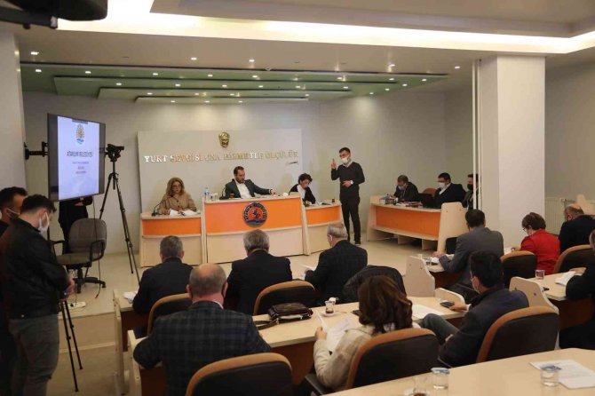 Atakum’da Üreticiye Ceviz Fidanı Hibesi