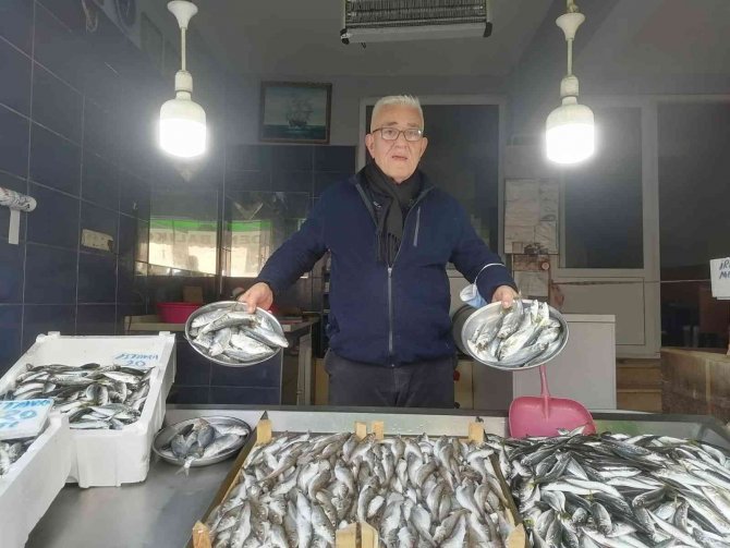 Giresunlular Hamsiye Hasret Kaldı