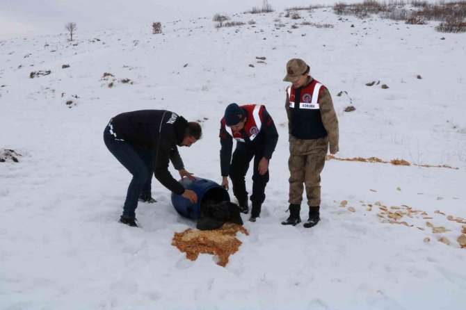 Bingöl’de Jandarma, Sokak Ve Yaban Hayvanlarını Unutmadı