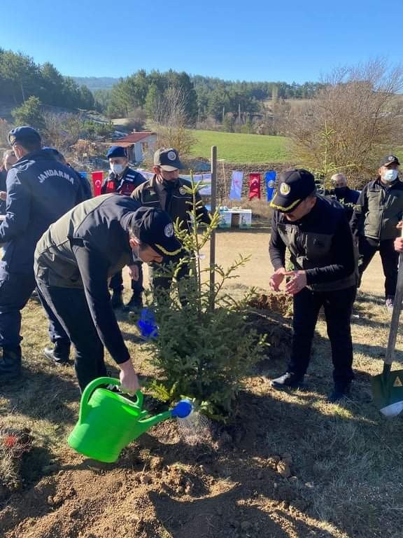 Bolu’da Bin Fidan Toprakla Buluşturuldu
