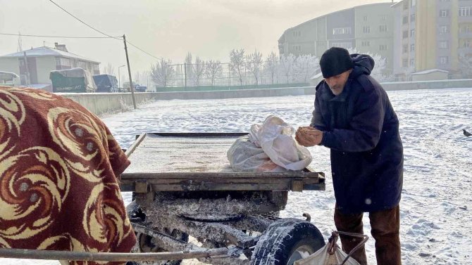 Atlarını Battaniyeye İle Sarıp Dondurucu Soğuklardan Koruyorlar