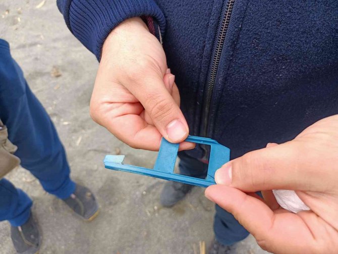 Çatal Kuyruklu Martı, Boynuna Takılan Plastik Cisimden Kurtarıldı