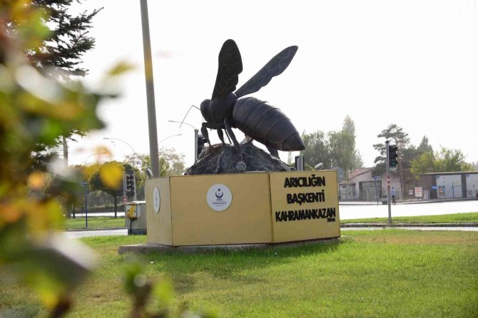 “Arıcılığın Başkenti”nde Arıcılara Yüzde 50 Hibeli Arı Ve Kovan Desteği