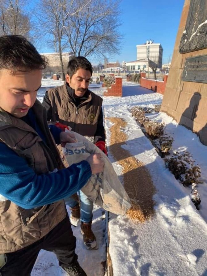 Kar Yağışı Sonrası Yaban Hayatı İçin Doğaya Yem Bırakıldı