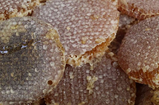 Mardin’de Kış Hastalıklarının Şifa Kaynağı Uludere Çam Balı Ve Keçiboynuzu