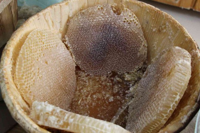 Mardin’de Kış Hastalıklarının Şifa Kaynağı Uludere Çam Balı Ve Keçiboynuzu