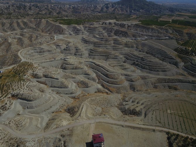 Mersin’de 2021’de 2,5 Milyon Fidan Dikildi