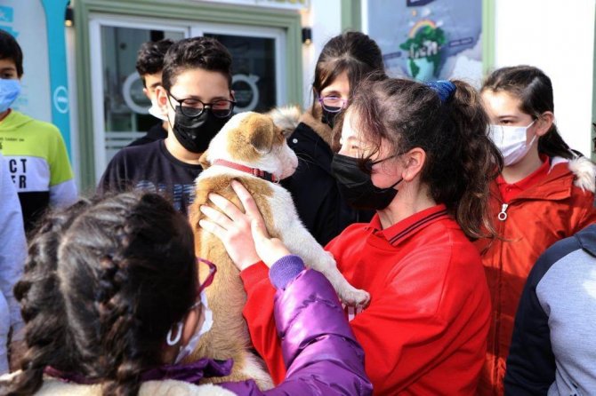 Öğrenciler ‘Can Dostları’ İle Keyifli Vakit Geçirdi