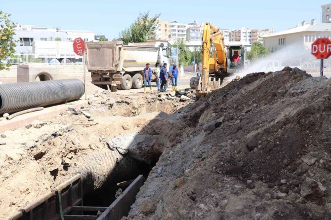Siirt Belediyesi Si̇ski̇ Müdürlüğü 2021 Yılı Verilerini Açıkladı