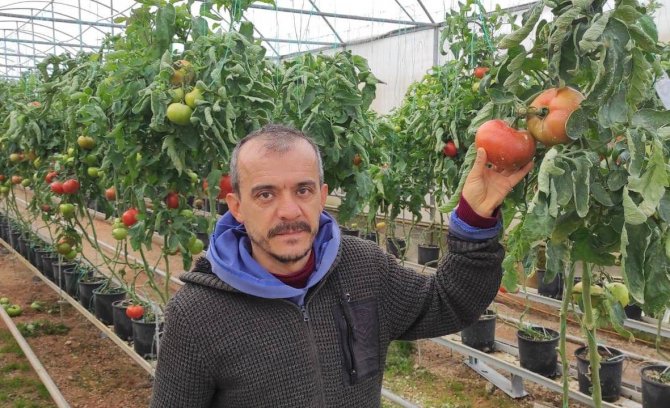 Jeotermal Kaynaklı Seralarda Dönem Kontrolleri