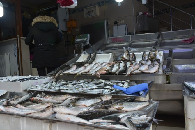 Karadeniz’de Bu Sezon Hamsi Yüz Güldürdü