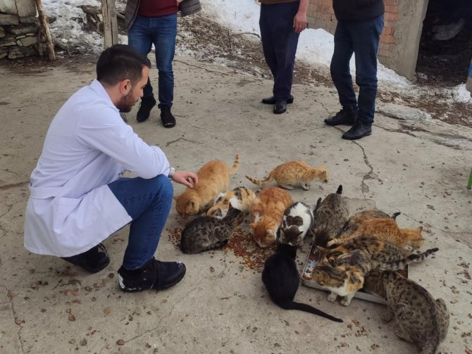 Trabzon’dan Batman Mereto Dağı Eteklerindeki Kedilere Mama