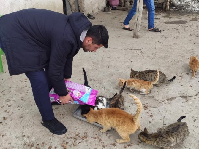 Trabzon’dan Batman Mereto Dağı Eteklerindeki Kedilere Mama