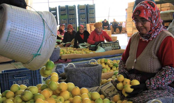 Her Aşamasında Onlar Çalışıyor, Kadınların Elinden Dünya Pazarına
