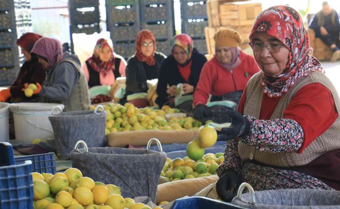 Her Aşamasında Onlar Çalışıyor, Kadınların Elinden Dünya Pazarına
