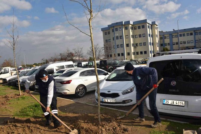 Yunusemre Belediyesinden Manisa Cbü Hafsa Sultan Hastanesinde Ağaçlandırma