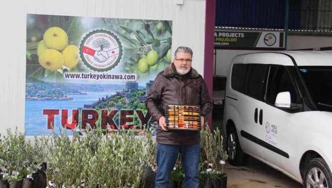 Karyalılar’ın Yaşantısını İnceledi İlginç Bir Buluş Ortaya Çıkardı