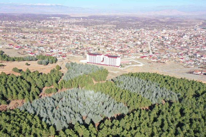 Gençlik Kampı Projesinde İnşaat Çalışmaları Başladı