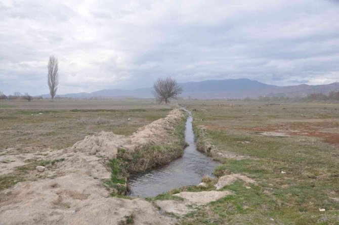Bakan Pakdemirli: "Seracılık Hızlı Bir Şekilde Büyüyor"