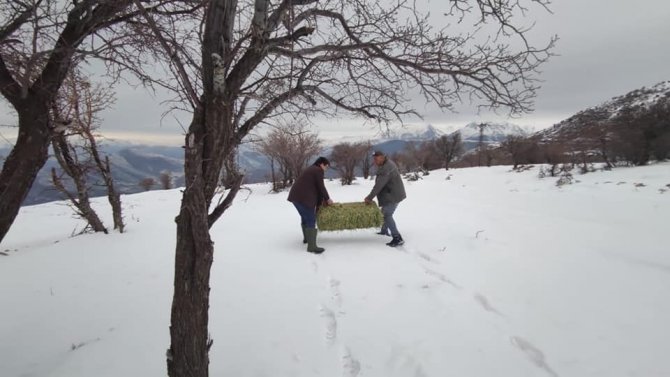 Çemişgezek’te Yaban Hayvanları İçin Doğaya Yem Bırakıldı