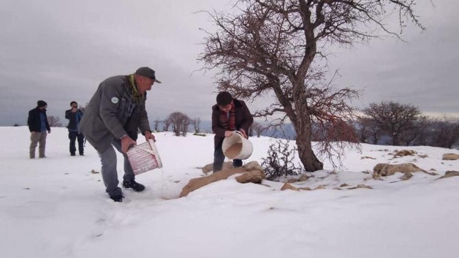 Çemişgezek’te Yaban Hayvanları İçin Doğaya Yem Bırakıldı