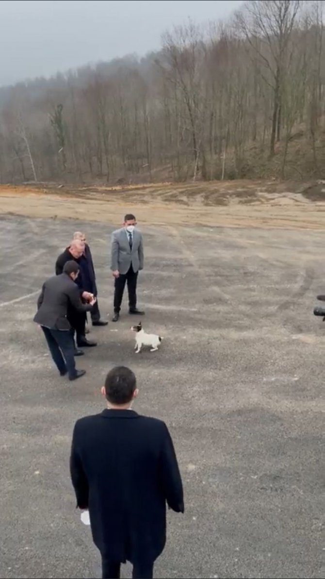 Cumhurbaşkanı Erdoğan, Beykoz Hayvan Barınağını Ziyaret Etti