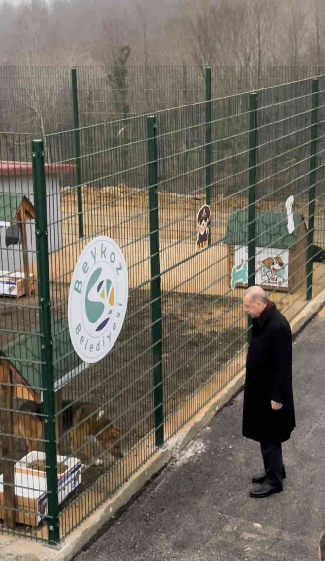 Cumhurbaşkanı Erdoğan, Beykoz Hayvan Barınağını Ziyaret Etti